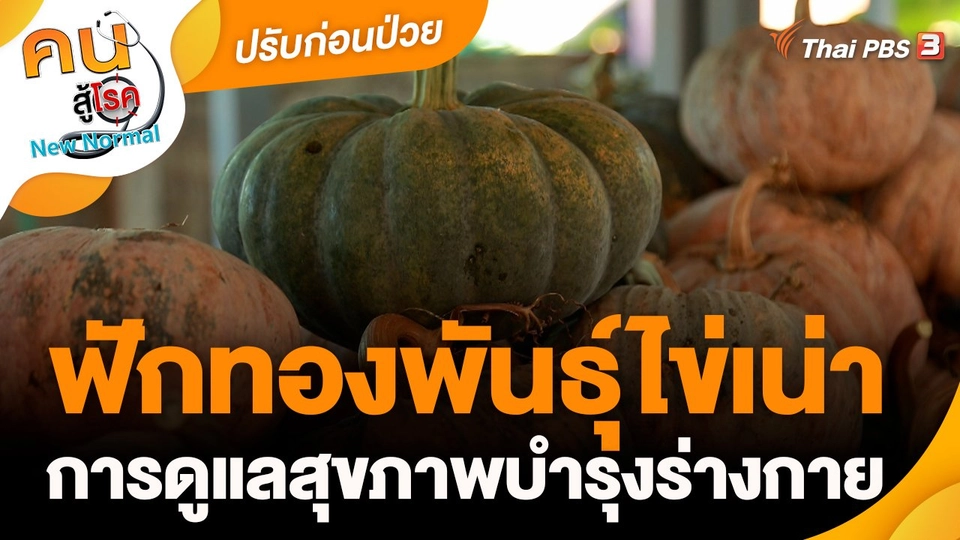 ​ปรับก่อนป่วย : ฟักทองพันธุ์ไข่เน่า พืชอัตลักษณ์เมืองน่าน