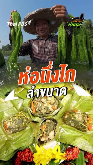 ห่อนึ่งไก ลำขนาด