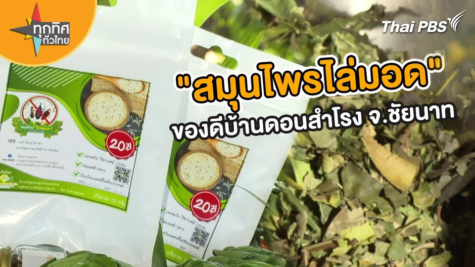 ​อาชีพทั่วไทย : "สมุนไพรไล่มอด" ของดีบ้านดอนสำโรง จ.ชัยนาท