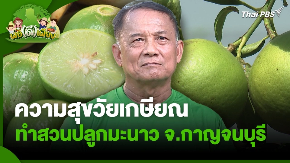 พอดีพอเพียง : ความสุขวัยเกษียณทำสวนปลูกมะนาว จ.กาญจนบุรี