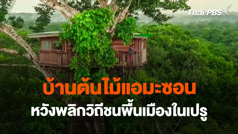 บ้านต้นไม้แอมะซอน หวังพลิกวิถีชนพื้นเมืองในเปรู
