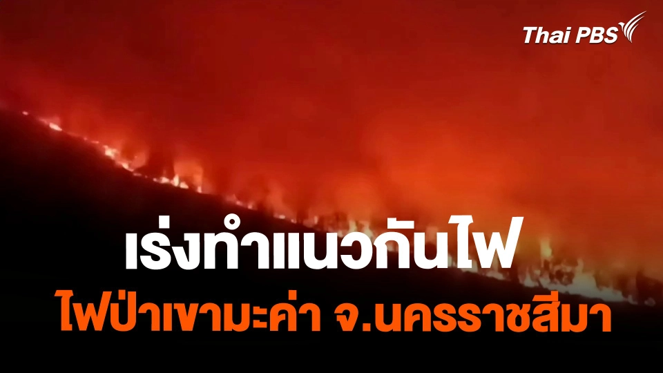 เร่งทำแนวกันไฟ หลังยังมีควันไฟป่าเขามะค่า จ.นครราชสีมา