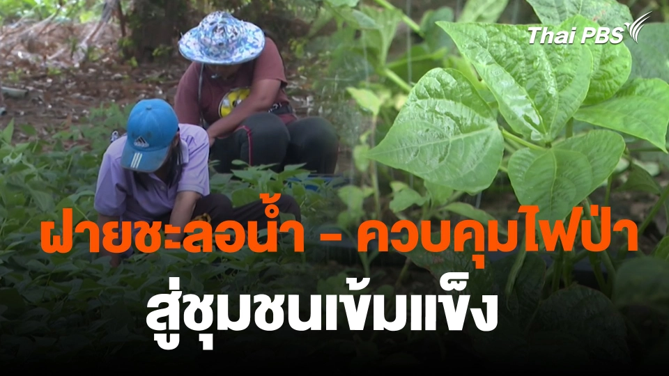 สถานีร้องเรียน :  ฝายชะลอน้ำ - ควบคุมไฟป่า  สู่ชุมชนเข้มแข็ง