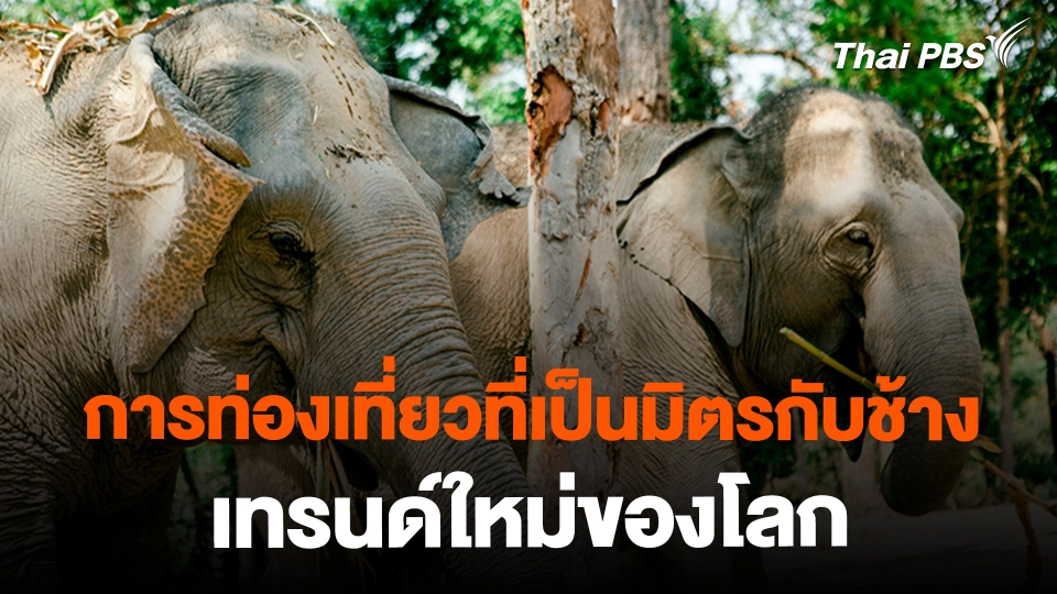 การท่องเที่ยวที่เป็นมิตรกับช้าง เทรนด์ใหม่ของโลก