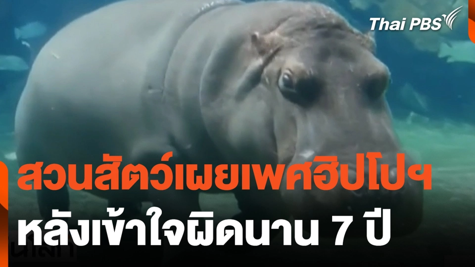 สวนสัตว์เผยเพศฮิปโปฯ หลังเข้าใจผิดนาน 7 ปี