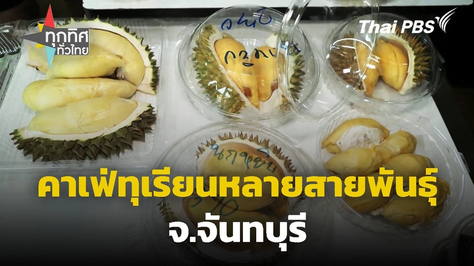 คาเฟ่ทุเรียนหลายสายพันธุ์ จ.จันทบุรี