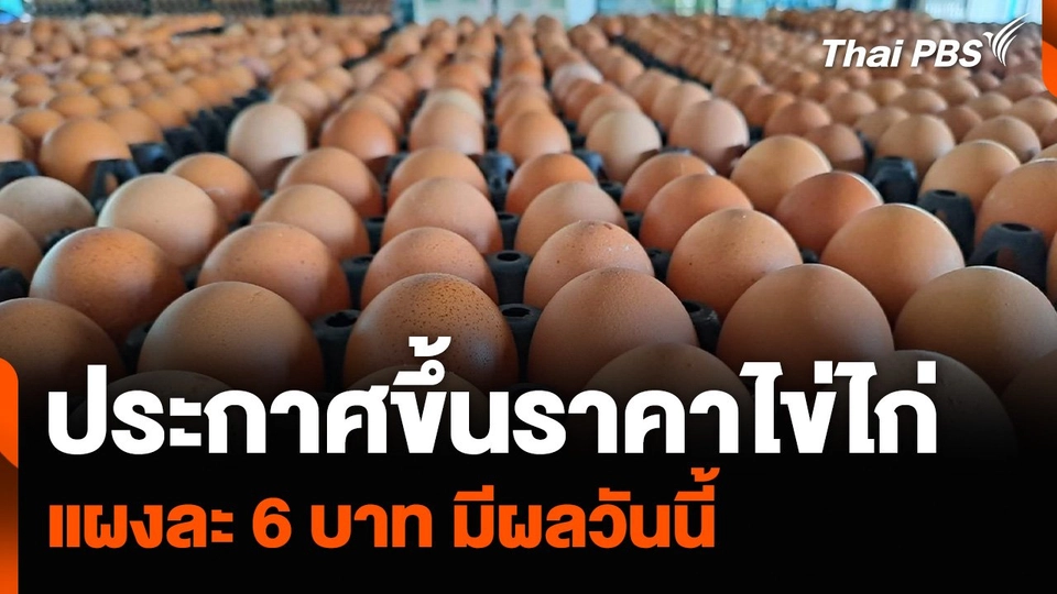 ประกาศขึ้นราคาไข่ไก่ แผงละ 6 บาท มีผลวันนี้