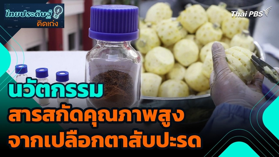ไทยประดิษฐ์คิดเก่ง : นวัตกรรมสารสกัดคุณภาพสูงจากเปลือกตาสับปะรด