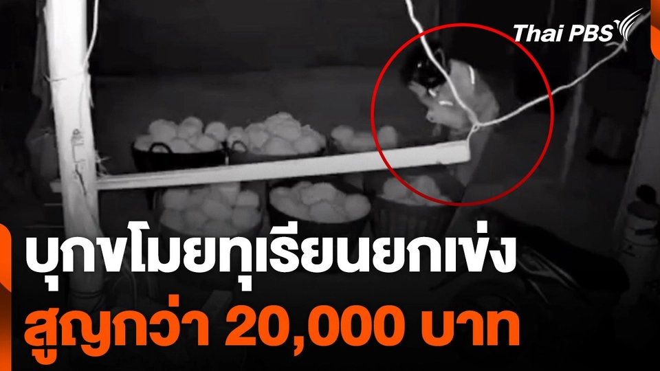 บุกขโมยทุเรียนยกเข่งสูญกว่า 20,000 บาท