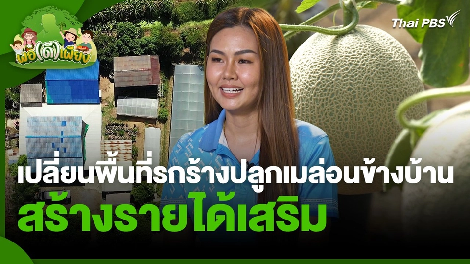 พอดีพอเพียง : เปลี่ยนพื้นที่รกร้างปลูกเมล่อนข้างบ้าน สร้างรายได้เสริม