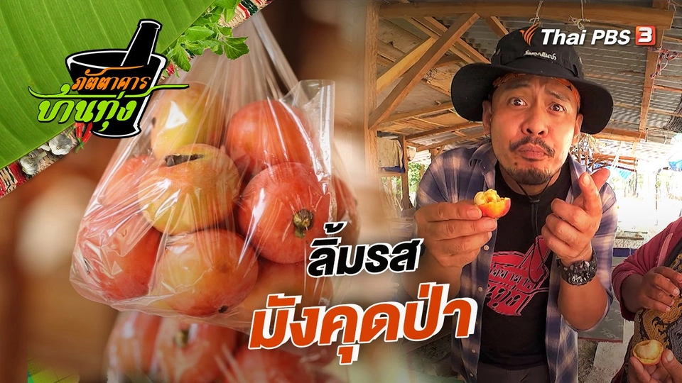 คลิปบ้านทุ่ง : ลิ้มรสมังคุดป่า