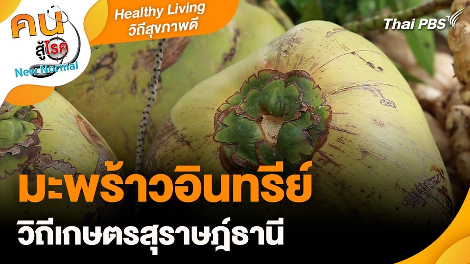 Healthy Living วิถีสุขภาพดี :  มะพร้าวอินทรีย์วิถีเกษตรสุราษฎ์ธานี