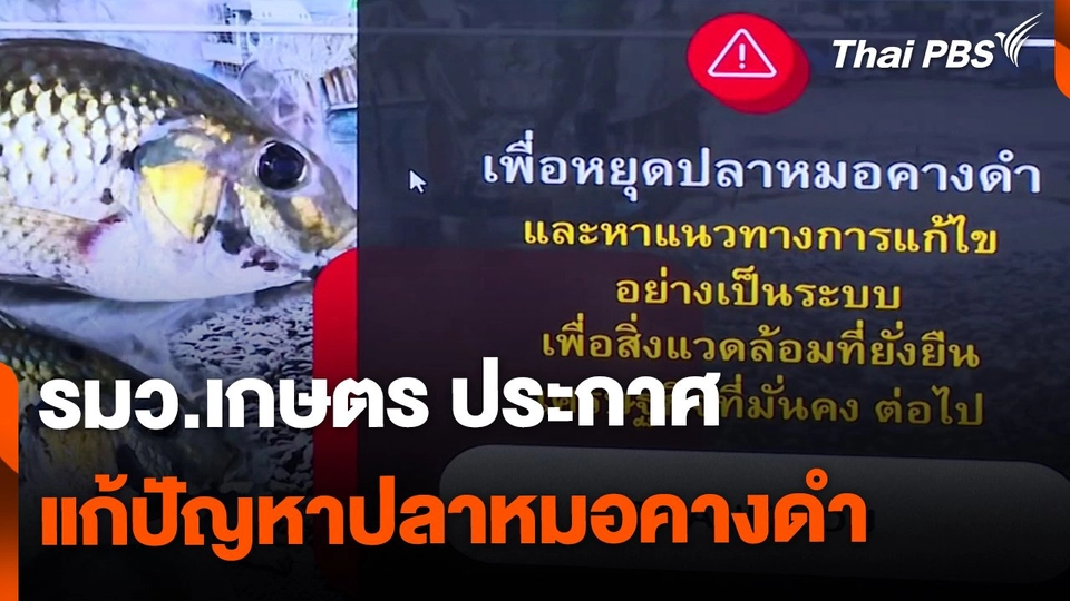 รมว.เกษตร ประกาศแก้ปัญหาปลาหมอคางดำ
