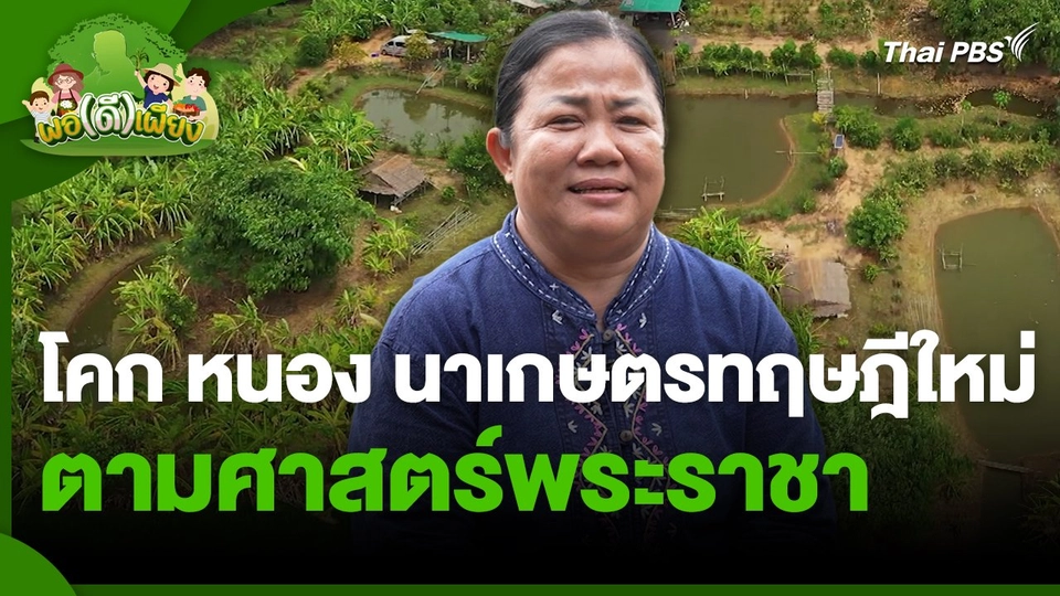 พอดีพอเพียง : โคก หนอง นาเกษตรทฤษฎีใหม่ตามศาสตร์พระราชา