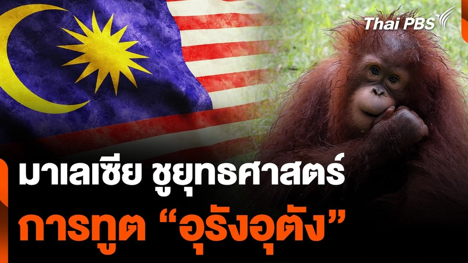 มาเลเซีย ชูยุทธศาสตร์ การทูต “อุรังอุตัง”