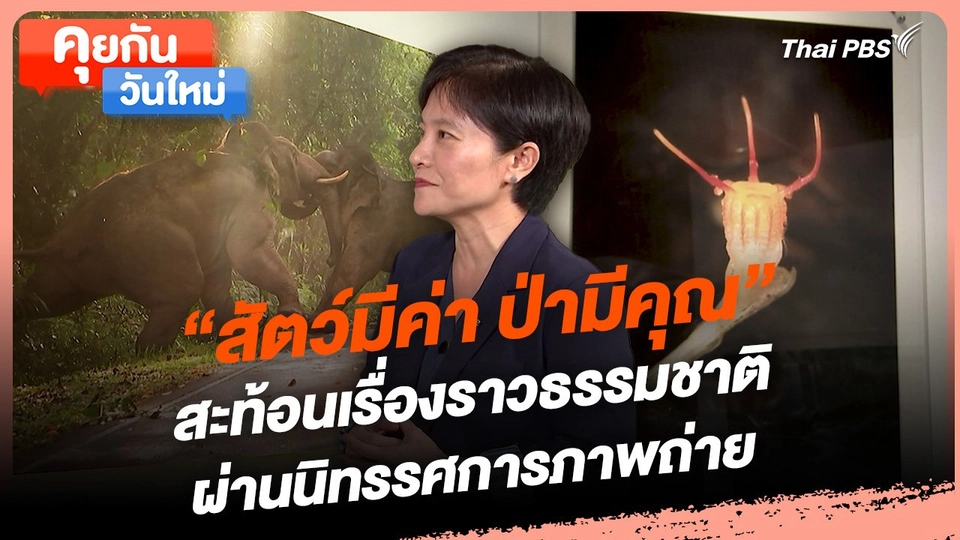 คุยกันวันใหม่ : "สัตว์มีค่า ป่ามีคุณ" สะท้อนเรื่องราวธรรมชาติผ่านนิทรรศการภาพถ่าย