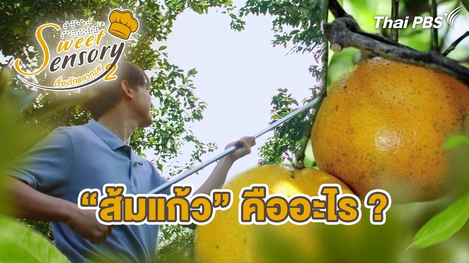 ส้มแก้ว คืออะไร ?