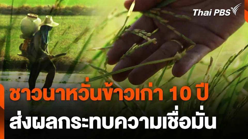 ชาวนาหวั่นข้าวเก่า 10 ปี ส่งผลกระทบความเชื่อมั่น