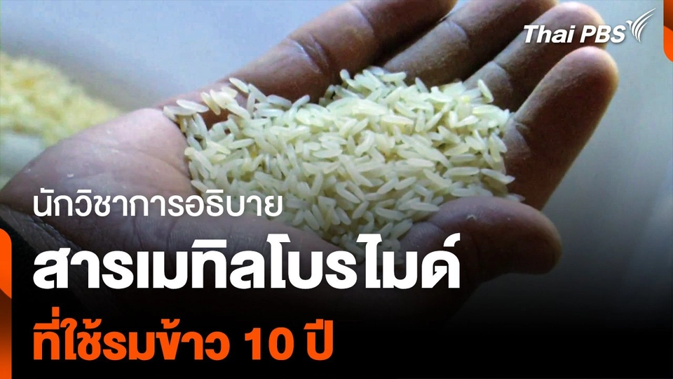 นักวิชาการอธิบาย สารเมทิลโบรไมด์ ที่ใช้รมข้าว 10 ปี