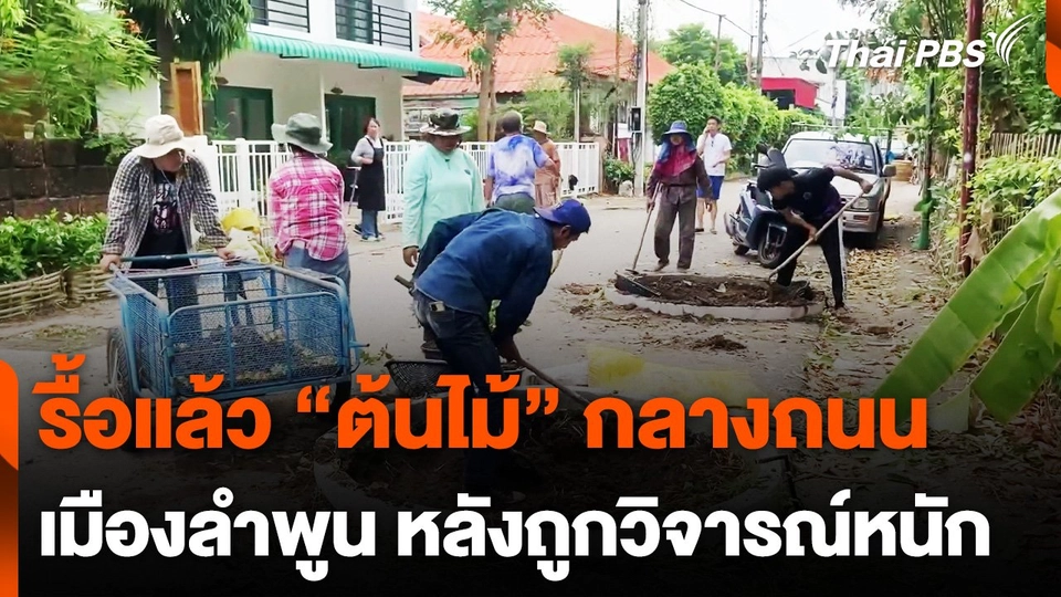 รื้อแล้ว ! ต้นไม้กลางถนนเมืองลำพูน หลังถูกวิจารณ์หนัก