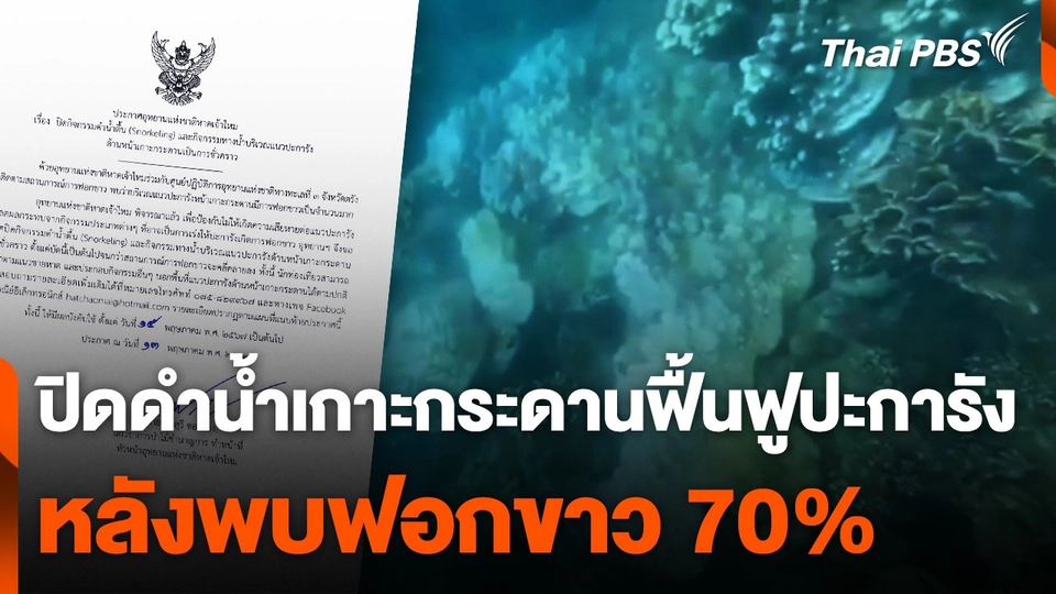 ปิดดำน้ำเกาะกระดานฟื้นฟูปะการัง หลังพบฟอกขาว 70%