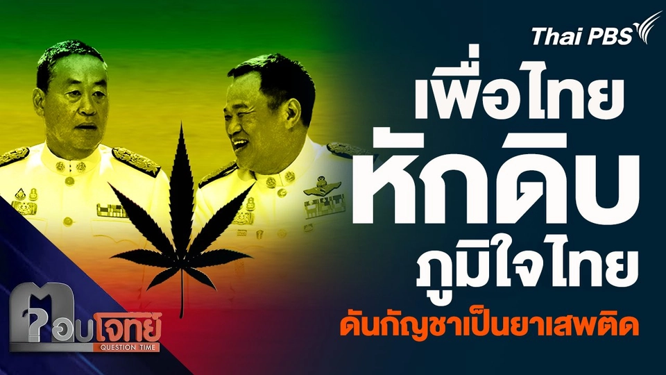 เพื่อไทย หักดิบภูมิใจไทย ดันกัญชาเป็นยาเสพติด