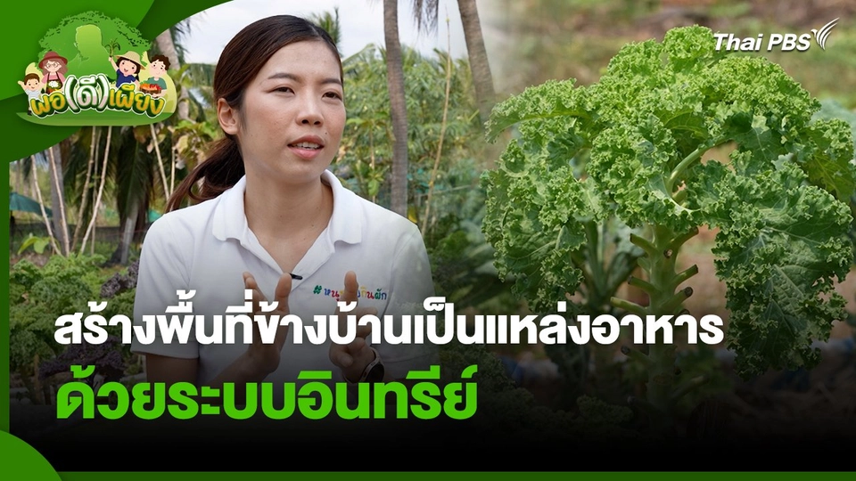 พอดีพอเพียง : สร้างพื้นที่ข้างบ้านเป็นแหล่งอาหาร ด้วยระบบอินทรีย์