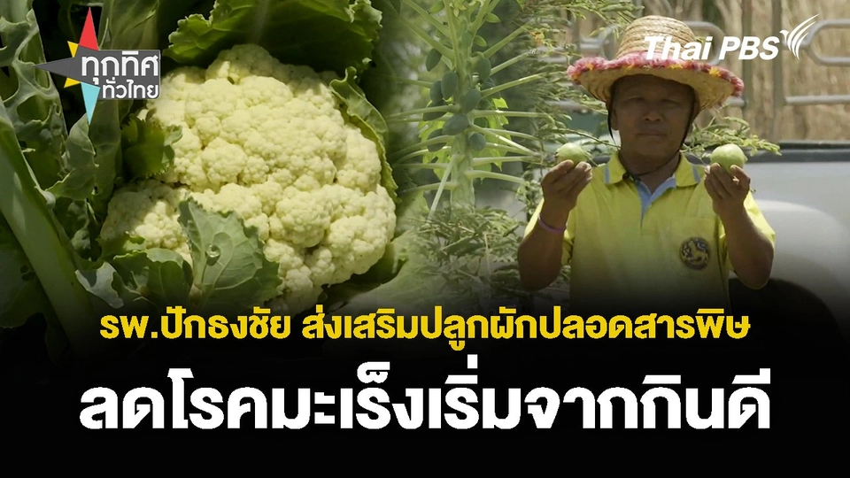 รพ.ปักธงชัย ส่งเสริมปลูกผักปลอดสารพิษ ลดโรคมะเร็งเริ่มจากกินดี