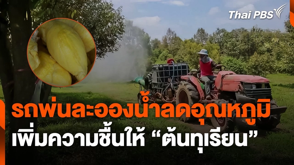 รถพ่นละอองน้ำลดอุณหภูมิ เพิ่มความชื้น ให้ "ต้นทุเรียน"