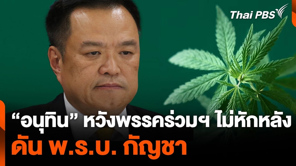 "อนุทิน" หวังพรรคร่วมฯ ไม่หักหลัง ดัน พ.ร.บ. กัญชา