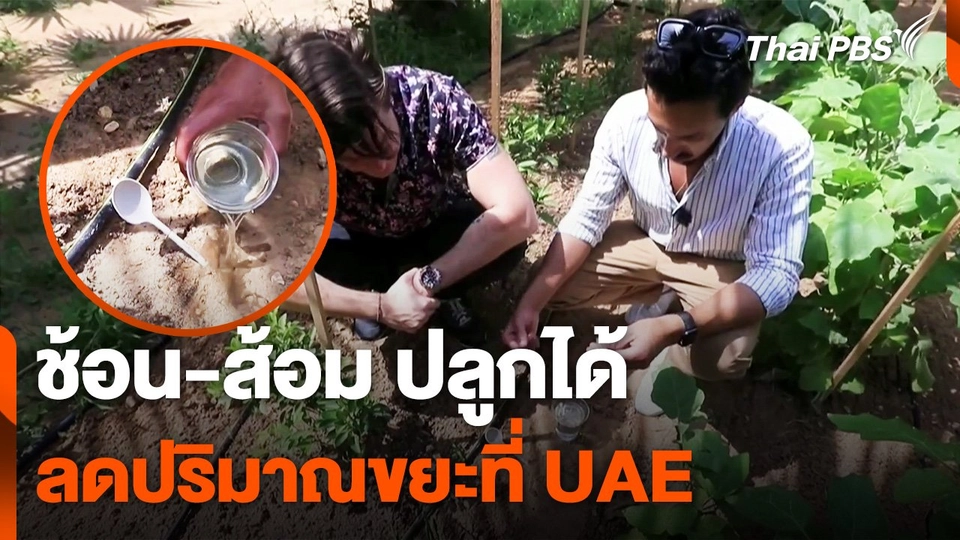 ช้อนส้อมปลูกได้ ช่วยลดปริมาณขยะในสหรัฐอาหรับเอมิเรตส์