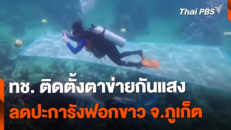 ทช. ติดตั้งตาข่ายกันแสง ช่วยลดปะการังฟอกขาว เกาะท่อนไม้ จ.ภูเก็ต