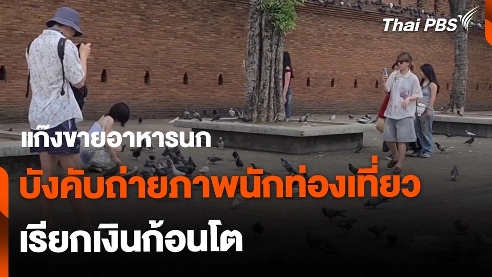แก๊งขายอาหารนก บังคับถ่ายภาพนักท่องเที่ยว เรียกเงินก้อนโต