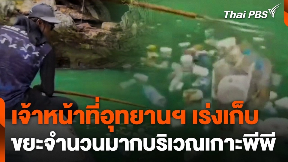 เจ้าหน้าที่อุทยานฯ เร่งเก็บขยะจำนวนมากบริเวณเกาะพีพี