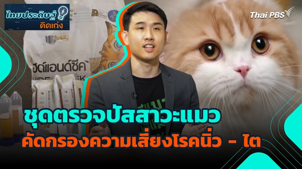 ไทยประดิษฐ์คิดเก่ง : ชุดตรวจปัสสาวะแมว คัดกรองความเสี่ยงโรคนิ่ว - ไต