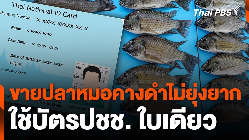 แจงขายปลาหมอคางดำไม่ยุ่งยาก ใช้บัตรปชช. ใบเดียว