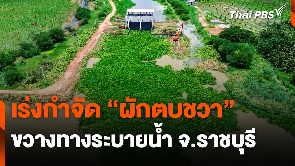 เร่งกำจัด "ผักตบชวา" ขวางทางระบายน้ำ จ.ราชบุรี
