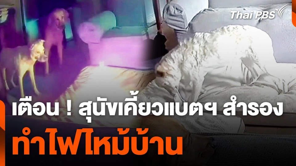 เตือนภัย ! สุนัขเคี้ยวแบตเตอรี่สำรอง ทำไฟไหม้บ้าน