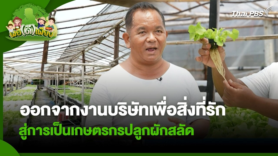 พอดีพอเพียง : ออกจากงานบริษัทเพื่อสิ่งที่รัก สู่การเป็นเกษตรกรปลูกผักสลัด