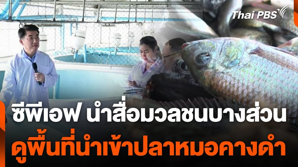 ซีพีเอฟ นำสื่อมวลชนบางส่วนดูพื้นที่นำเข้าปลาหมอคางดำ
