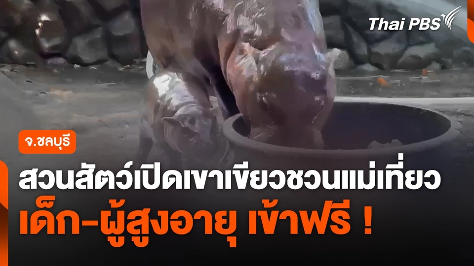 สวนสัตว์เปิดเขาเขียวชวนแม่เที่ยว "เด็ก-ผู้สูงอายุ 60 ปี" เข้าฟรี !