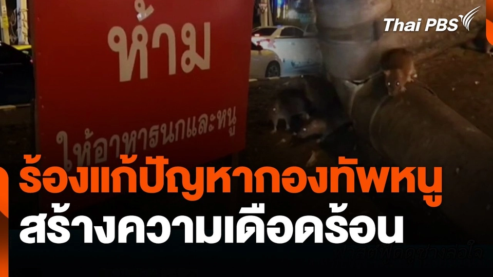 ร้องแก้ปัญหากองทัพหนูสร้างความเดือดร้อน