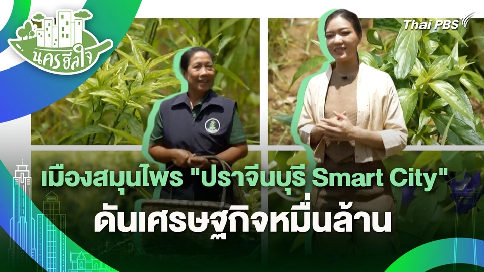 นครฮีลใจ : เมืองสมุนไพร "ปราจีนบุรี Smart City" ดันเศรษฐกิจหมื่นล้าน