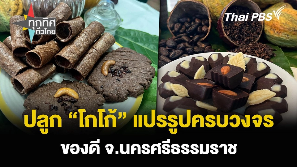 ปลูก “โกโก้” แปรรูปครบวงจร ของดี จ.นครศรีธรรมราช