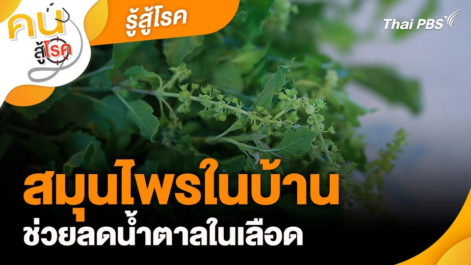 รู้สู้โรค : สมุนไพรในบ้านช่วยลดน้ำตาลในเลือด