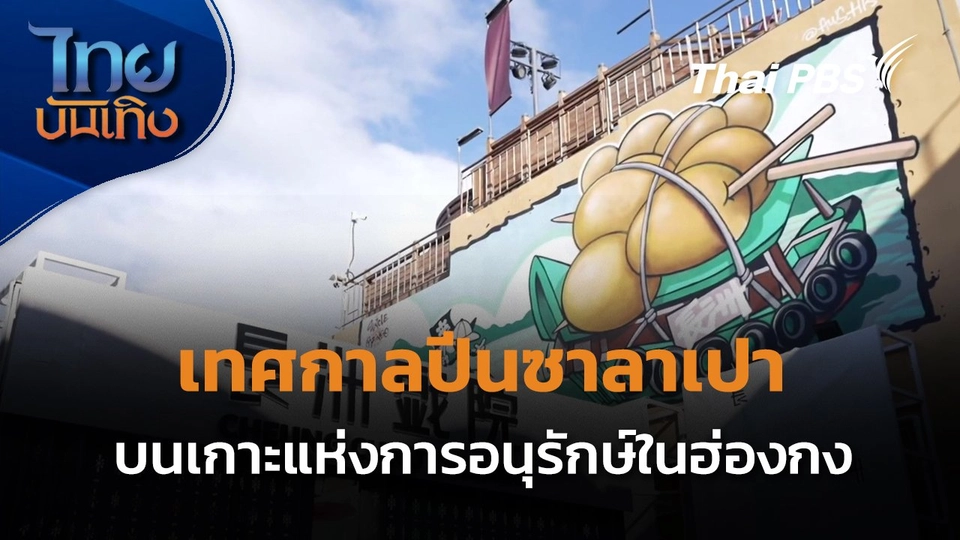 เทศกาลปีนซาลาเปาบนเกาะแห่งการอนุรักษ์ในฮ่องกง