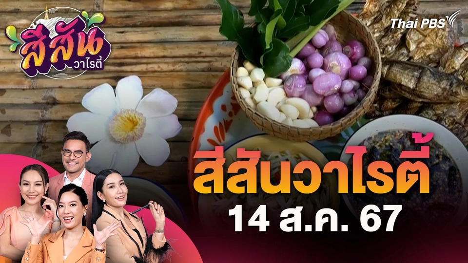 สีสันวาไรตี้ (14 ส.ค. 67) ชาวราชบุรีชวนทำ “น้ำยำปลา”เมนูหากินยากของชาวไทยเชื้อสายมอญ