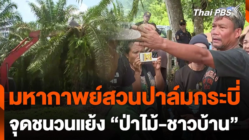 มหากาพย์สวนปาล์มกระบี่ จุดชนวนแย้ง "ป่าไม้-ชาวบ้าน"