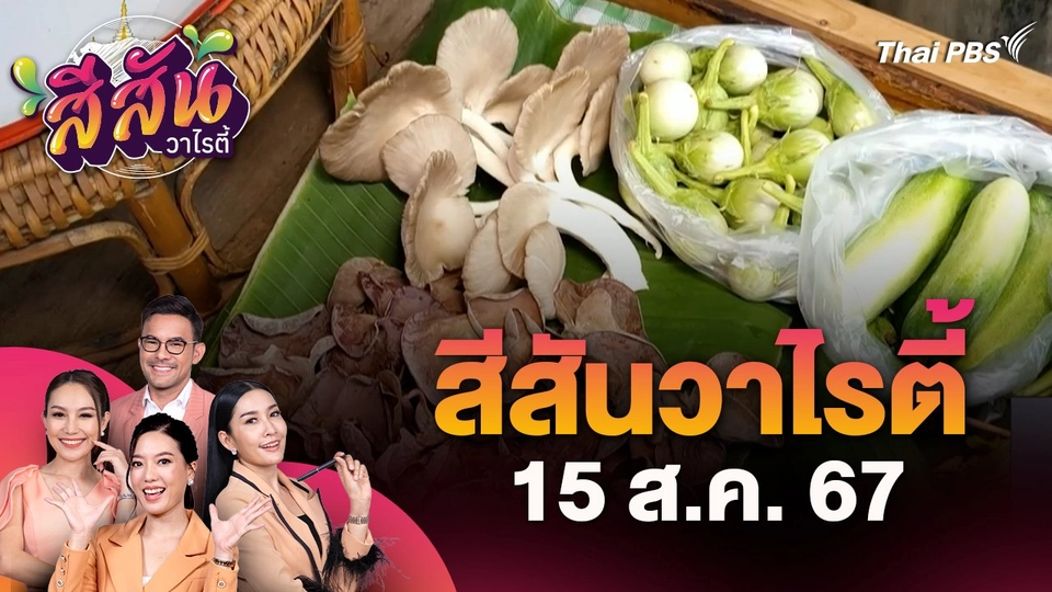 สีสันวาไรตี้ (15 ส.ค. 67)  : เจ้าของร้านปลูกผักสวนครัวลดต้นทุนทำอาหารขายราคาถูก