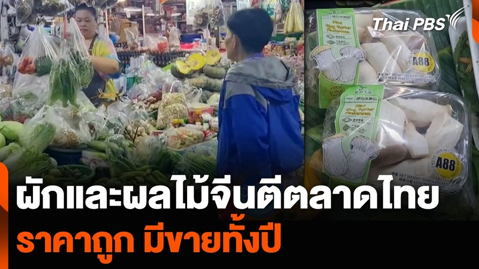 ผักและผลไม้จีนตีตลาดไทย ราคาถูก มีขายทั้งปี